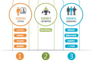 安越专业化定制咨询服务 以全流程财务咨询赋能企业竞争力跃升