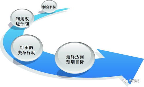 企业标杆思维与精细化管理 解锁高效运作的新路径