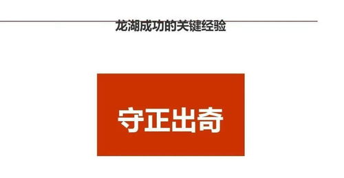 龙湖智慧 企业管理与运营精细化管理之道